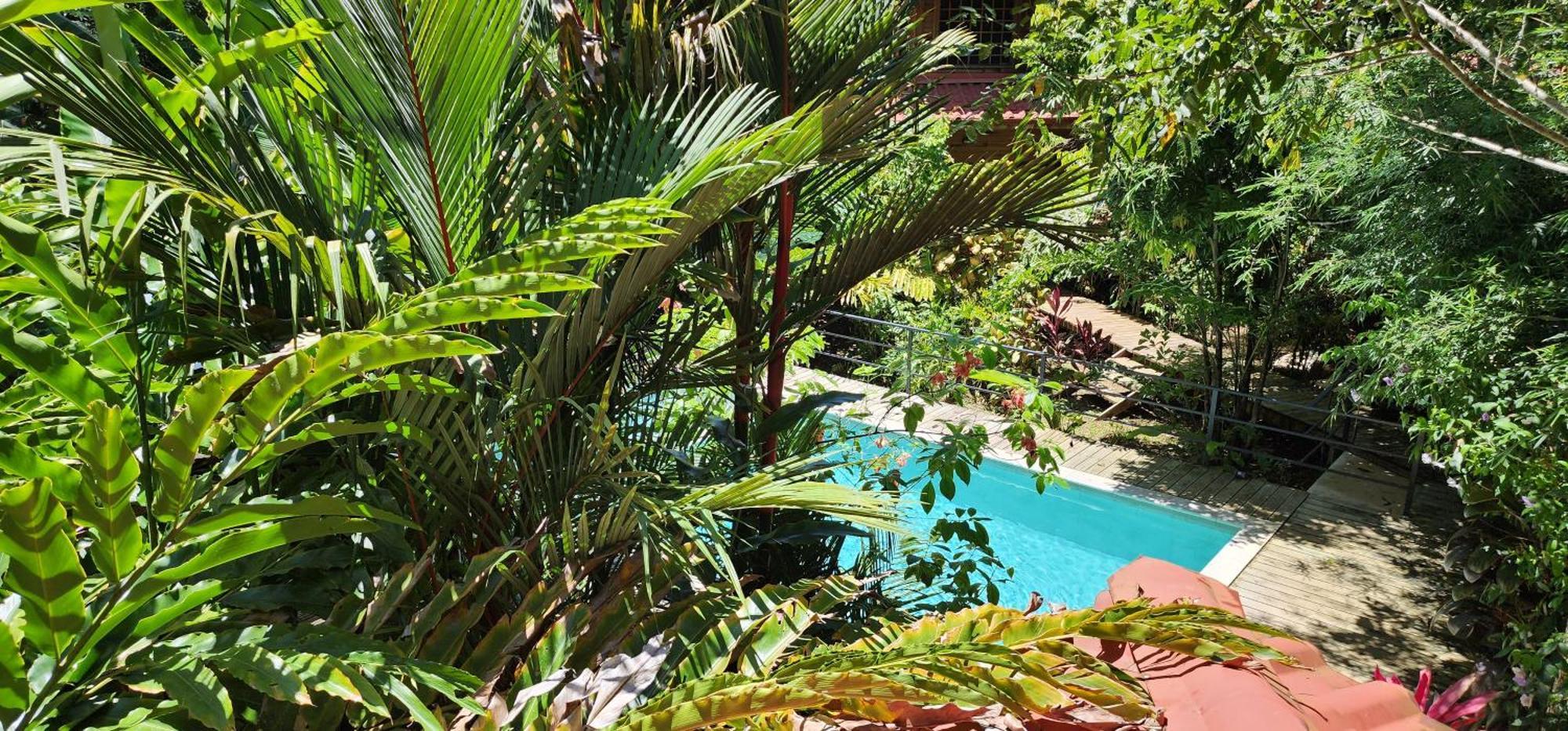 Boutique Hotel Y Spa Tangara Azul Ojochal Zewnętrze zdjęcie