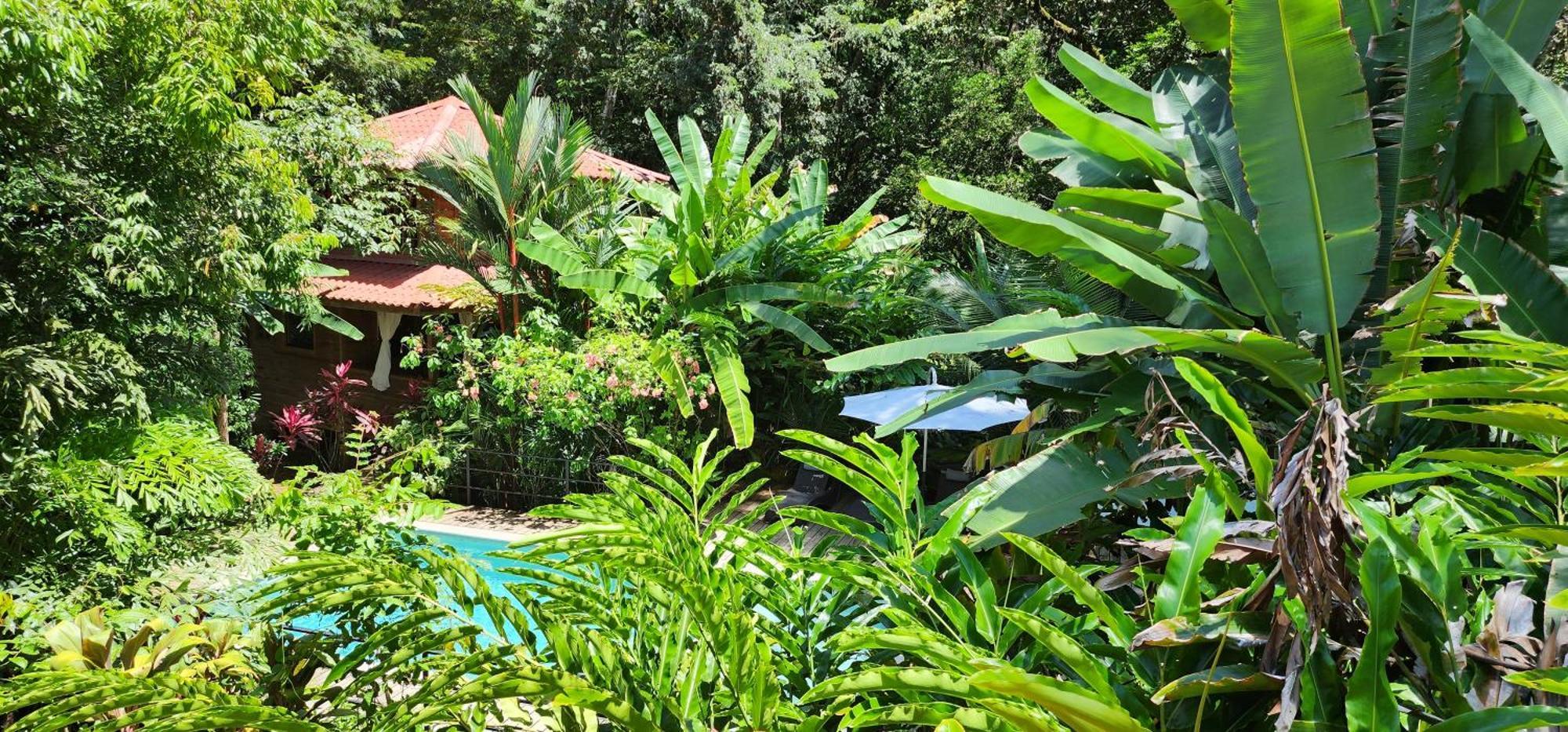 Boutique Hotel Y Spa Tangara Azul Ojochal Zewnętrze zdjęcie